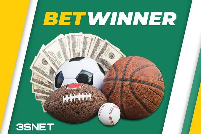 Exploring the BetWinner Platform Your Ultimate Betting Experience